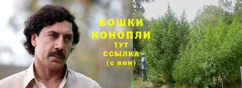 Каннабис Ganja  Тобольск 